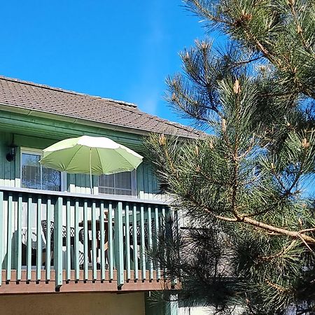 Ferienwohnung Strandwurzel 泽姆平 外观 照片